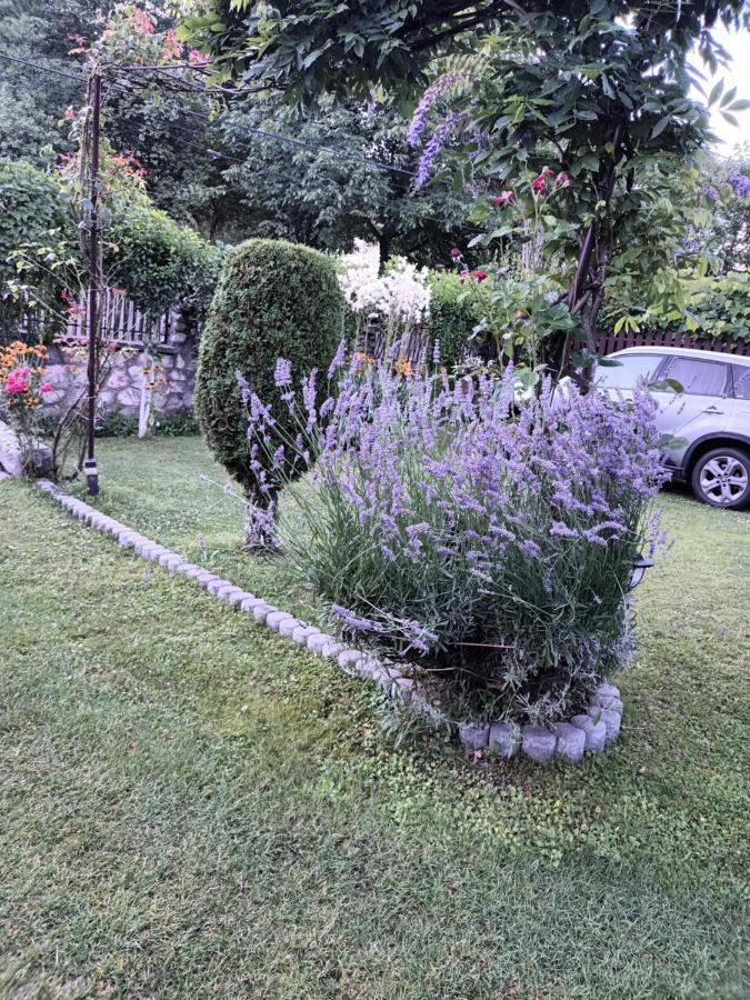 Casa Bunicii Hotel Costesti  Bagian luar foto