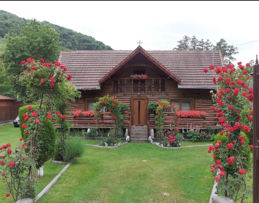 Casa Bunicii Hotel Costesti  Bagian luar foto