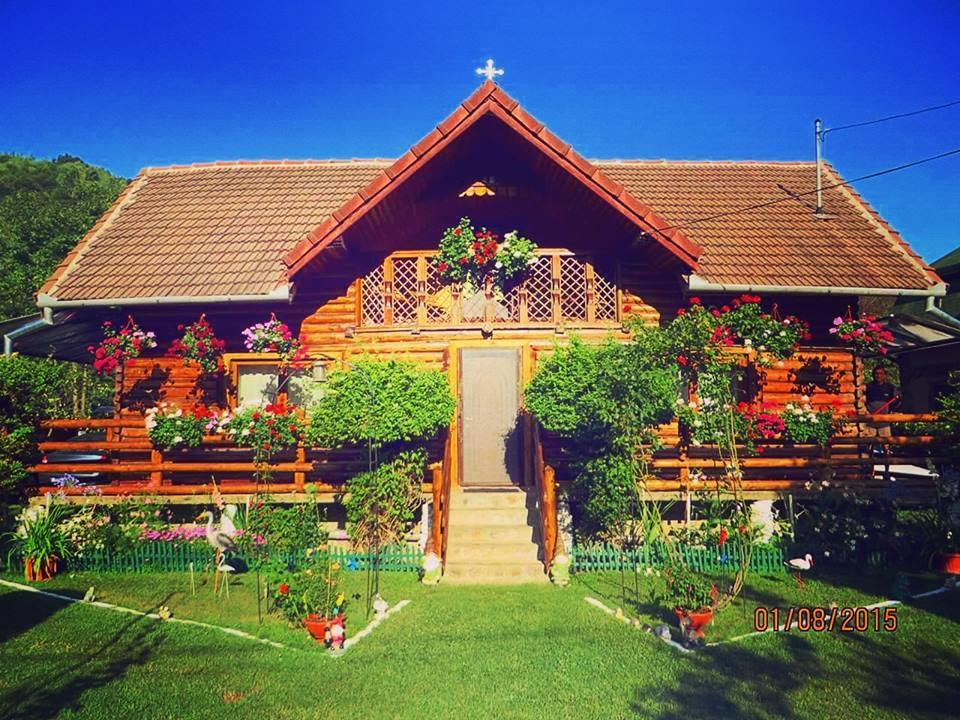 Casa Bunicii Hotel Costesti  Bagian luar foto