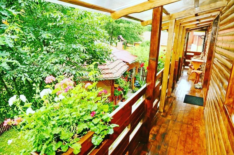 Casa Bunicii Hotel Costesti  Bagian luar foto