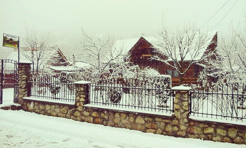 Casa Bunicii Hotel Costesti  Bagian luar foto